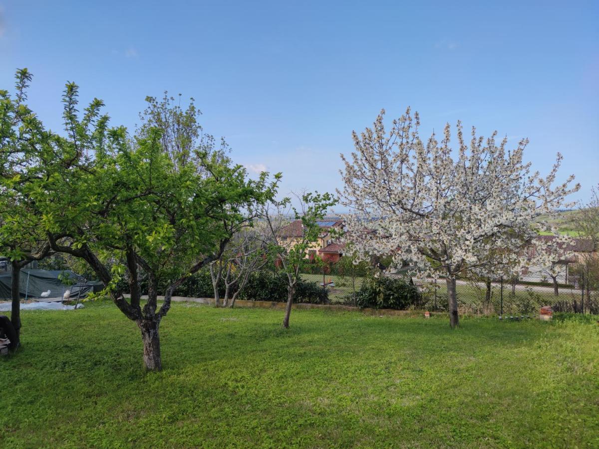 Апартаменты Relax In Collina A Due Passi Dal Mare Torriana Экстерьер фото